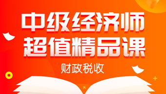 中級(jí)經(jīng)濟(jì)師超值精品課程 財(cái)政稅收全科